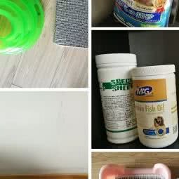 修訫(修訫宠物代养家庭):株洲市荷塘区贺家土附近