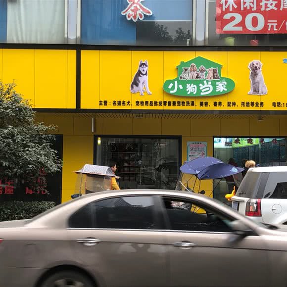 小狗当家(河东店):株洲市芦淞区中心广场附近