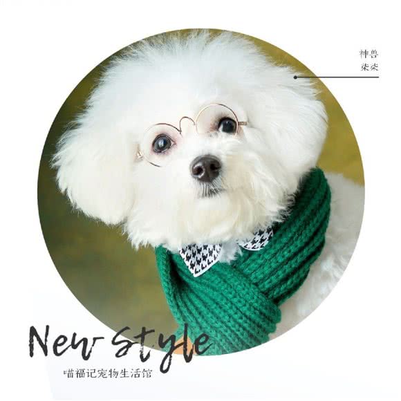 喵福记宠物生活馆:株洲市石峰区清石广场附近