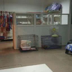 宠爱动物物诊所:株洲市石峰区清石广场附近