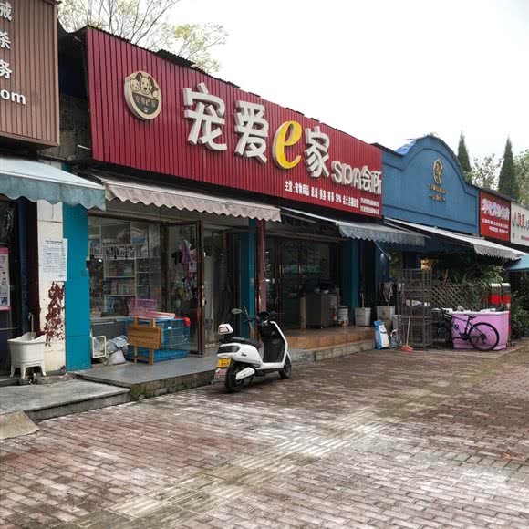 宠爱e余家:株洲市天元区沿江风光带附近