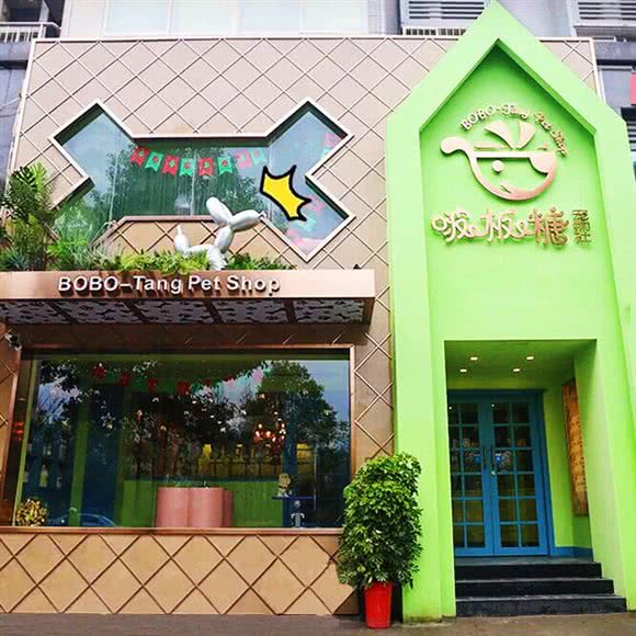 啵板糖宠物社:株洲市天元区沿江风光带附近