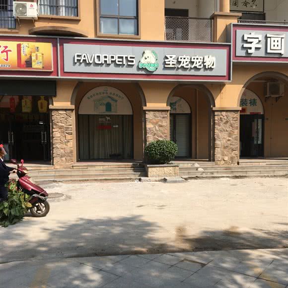 圣宠宠物:湘潭市雨湖区九华经济开发区附近