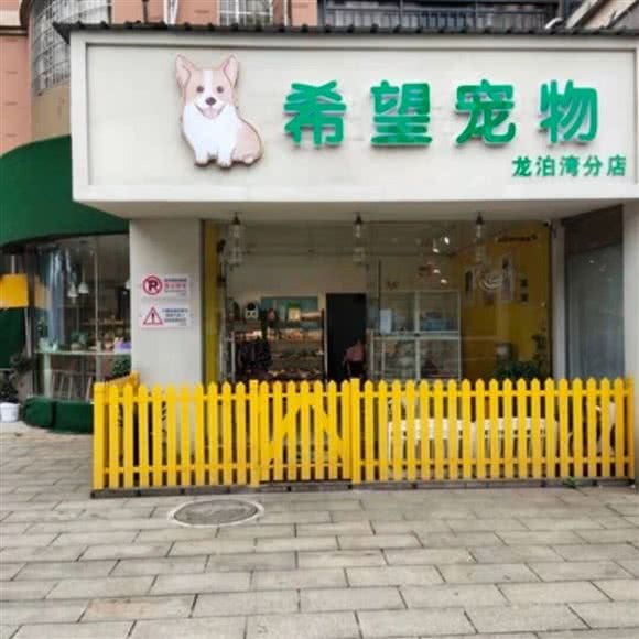 希望宠物狗:湘潭市岳塘区建设路附近