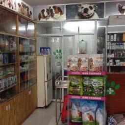 贵族宠物:湘潭市岳塘区建设路附近