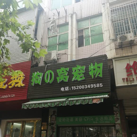 狗の窝宠物:湘潭市岳塘区下摄司附近