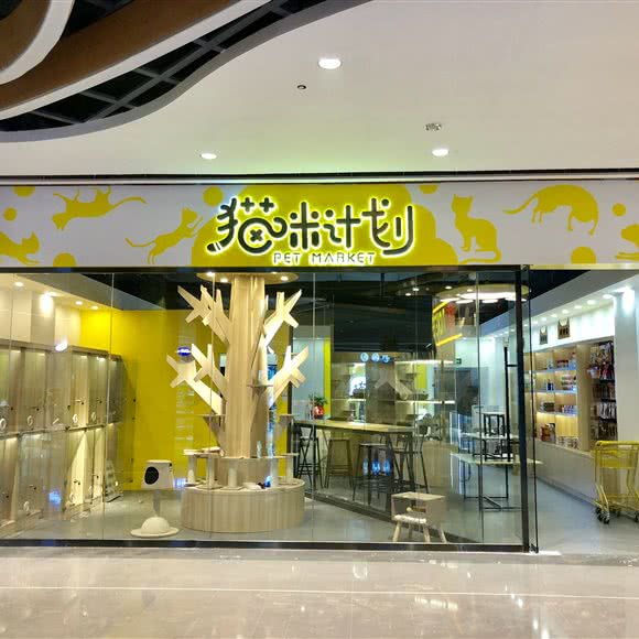 猫咪计划Pet Market:湘潭市岳塘区华隆步步高附近