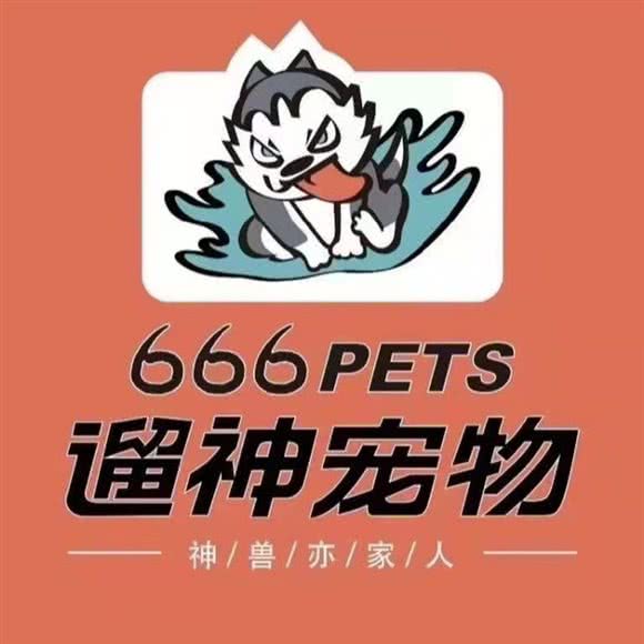 遛神宠物:衡阳市珠晖区酃湖大学城附近