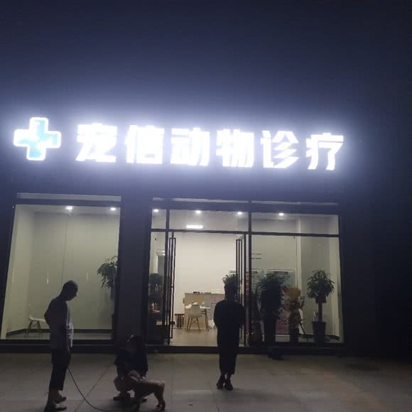 宠信动物诊所:衡阳市雁峰区白沙洲广场附近
