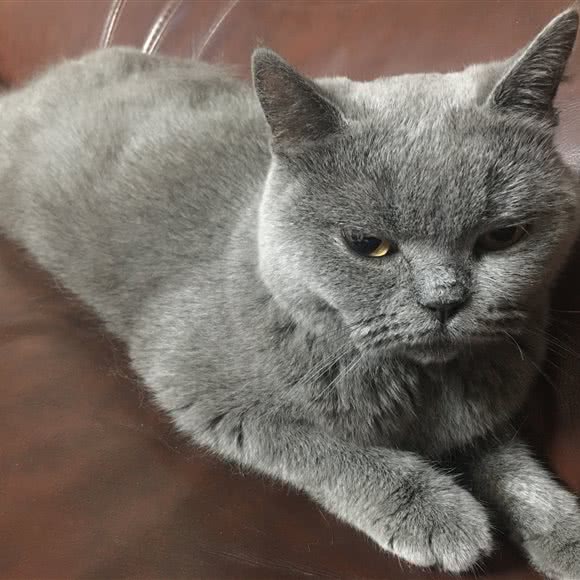 哈妮贝贝:衡阳市雁峰区环城南路附近