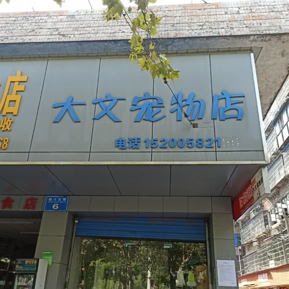 大文宠物店:衡阳市石鼓区解放路口附近