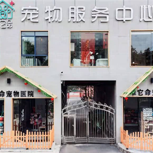 唯它命宠物服务中心:衡阳市蒸湘区华新开发区附近