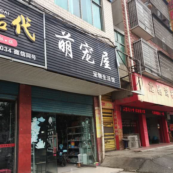 萌宠屋宠物生活馆:邵阳市大祥区邵阳学院/七里坪附近