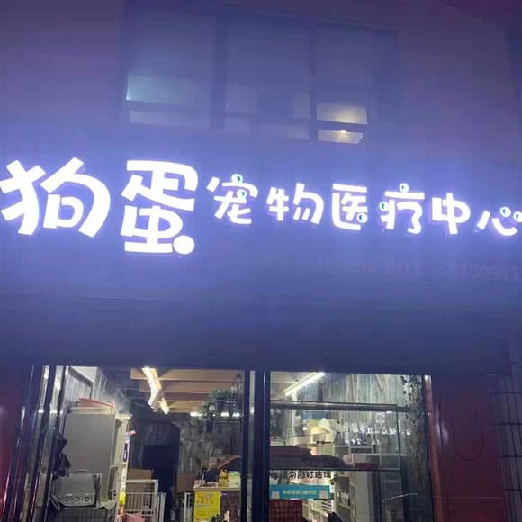 狗蛋宠物医院:邵阳市大祥区城南公园附近