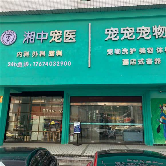 湘中宠医:邵阳市大祥区友谊联都商城附近