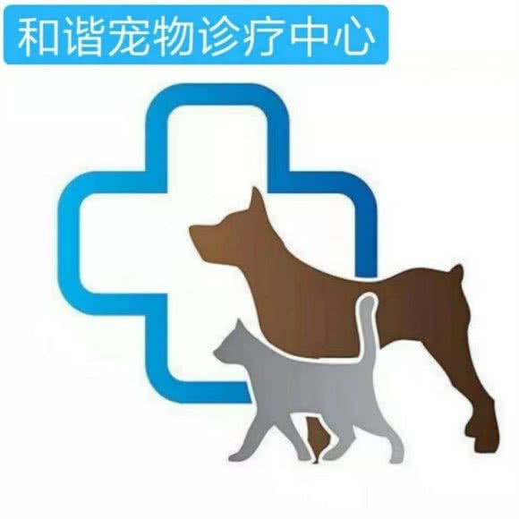和谐宠物24小时诊疗服务中心:邵阳市北塔区江北广场附近