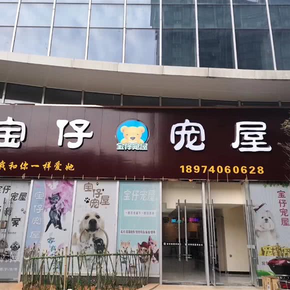 宝仔宠屋(步步高总店):岳阳市岳阳楼区步行街附近