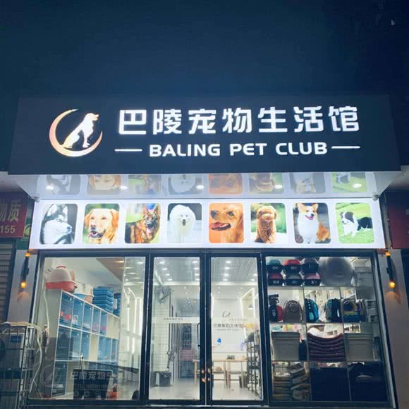 巴陵宠物生活馆:岳阳市岳阳楼区岳阳楼/汴河街附近