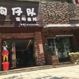 狗仔队宠物会所:岳阳市岳阳楼区岳阳楼/汴河街附近