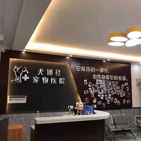 犬通社宠物医院(新路口店):岳阳市岳阳楼区新路口附近
