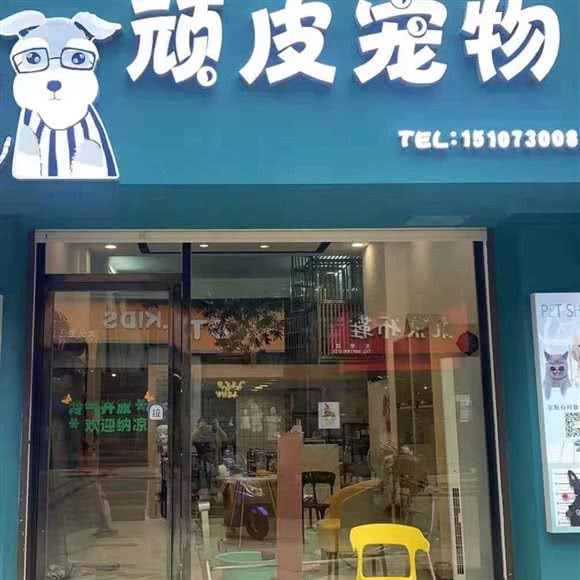 顽皮宠物:岳阳市岳阳楼区天伦城附近