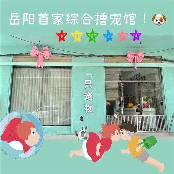 一只宠物综合馆:岳阳市岳阳楼区八字门附近