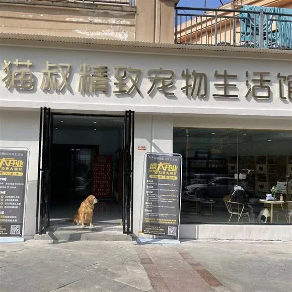 猫叔精致宠物生活馆:岳阳市岳阳楼区八字门附近