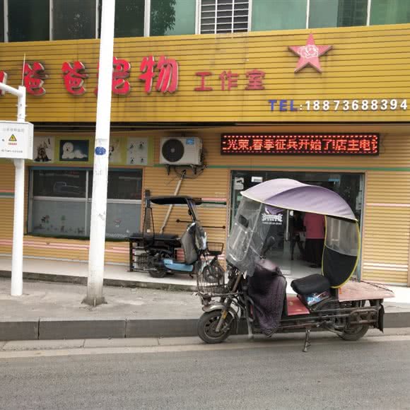 狗爸爸宠物工作室:常德市武陵区三闾路附近