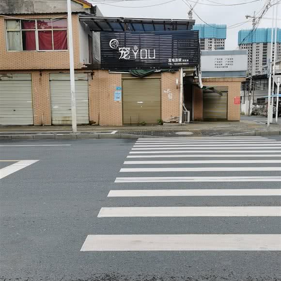 宠YOU宠物:常德市武陵区三闾路附近