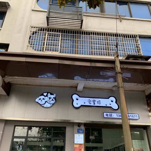 宠掌柜:常德市武陵区水星楼附近