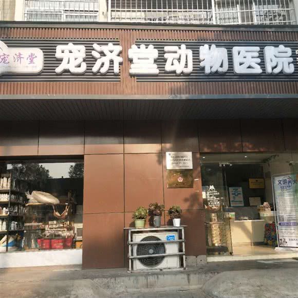宠济堂动物医院:常德市武陵区水星楼附近