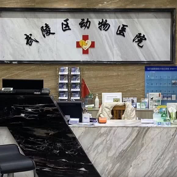 常德市武陵区动物医院:常德市武陵区水星楼附近