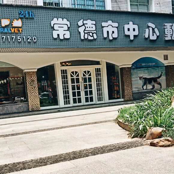 常德市中心动物医院:常德市武陵区文化宫附近