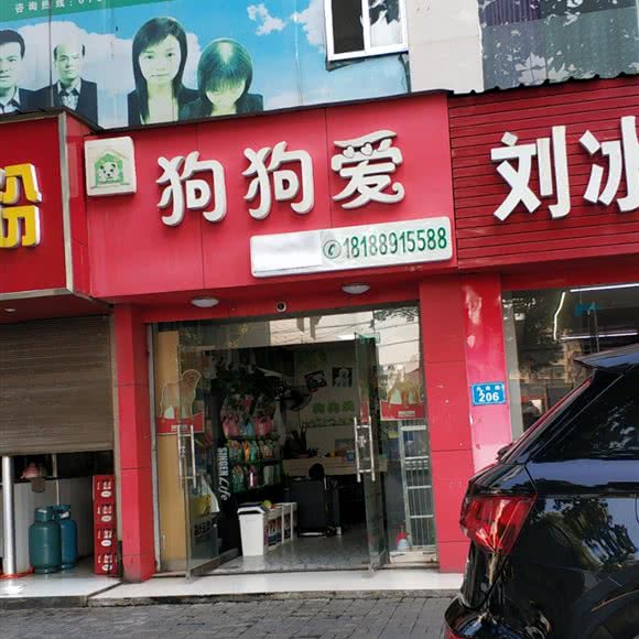 宠物狗爱:常德市武陵区紫桥附近