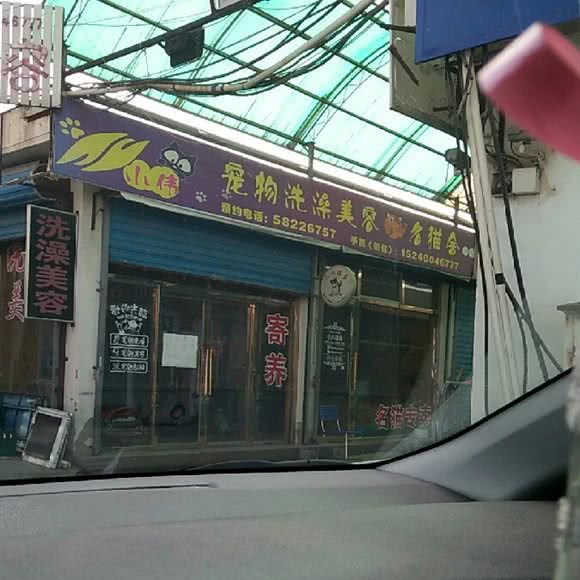 宠物洗澡美容名猫舍:天津城区西青区大寺附近