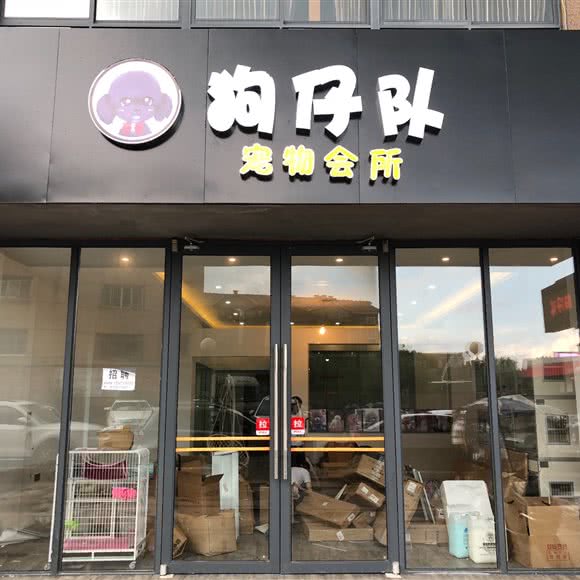 狗仔队宠物狗会所:常德市武陵区德山十字路口附近