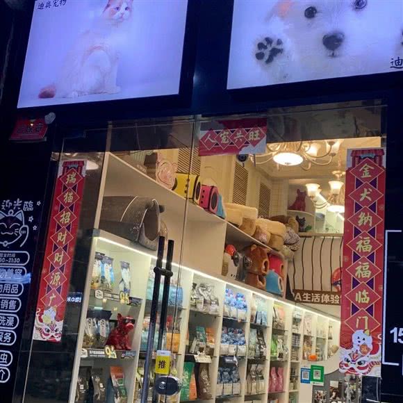 迪奥宠物:常德市武陵区金钻广场附近