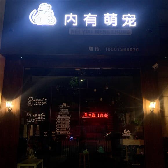 内有萌宠:常德市武陵区金钻广场附近