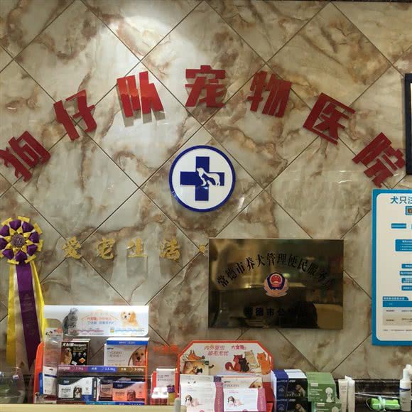 狗仔队宠物医院(鼎城旗舰店):常德市鼎城区桥南大圆盘附近