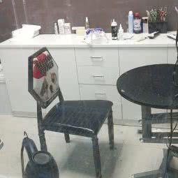 狗先生宠物馆(桥南店):常德市鼎城区桥南商贸城附近