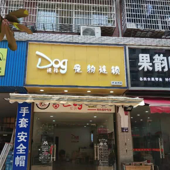 益阳高新道格宠物店:益阳市赫山区桥南附近