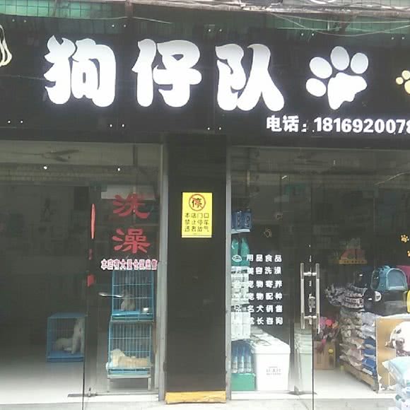 狗仔队宠物店:郴州市北湖区兴隆步行街附近