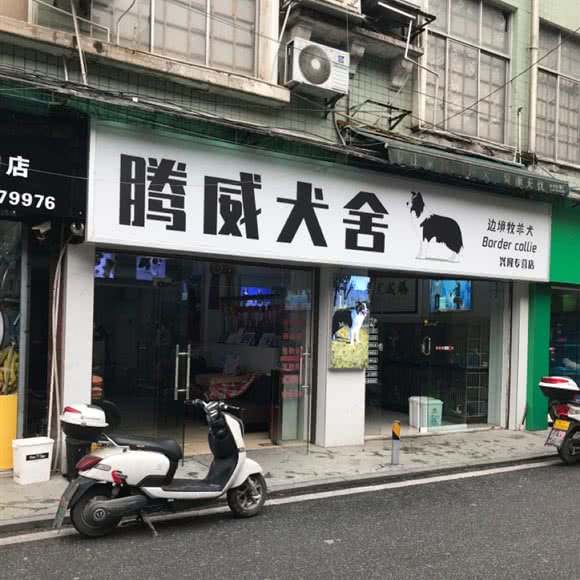 腾威犬舍(兴隆店):郴州市北湖区兴隆步行街附近