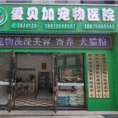 爱贝加宠物医院:郴州市北湖区五岭广场附近