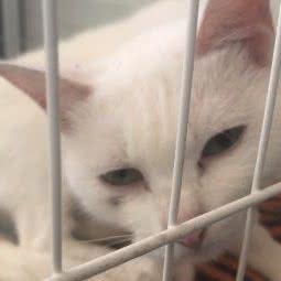 乖乖宠物生活馆:郴州市北湖区帝国大酒店附近