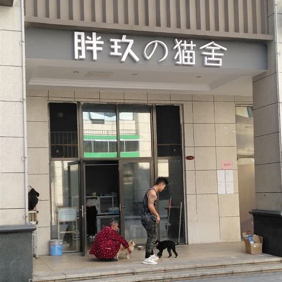 胖玖の猫舍:郴州市北湖区国庆南路附近