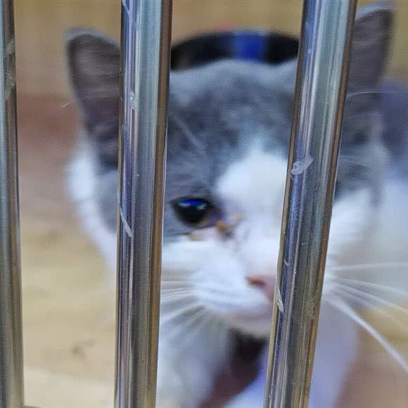 乖乖宠物(南塔店):郴州市苏仙区南塔公园附近