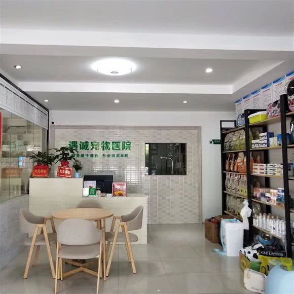 遇诚宠物医院:郴州市苏仙区苏仙桥附近