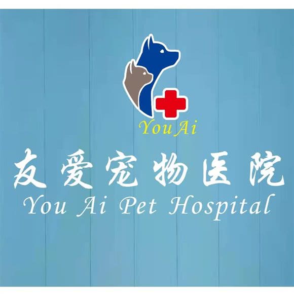 友爱宠物医院:永州市零陵区工人文化宫附近