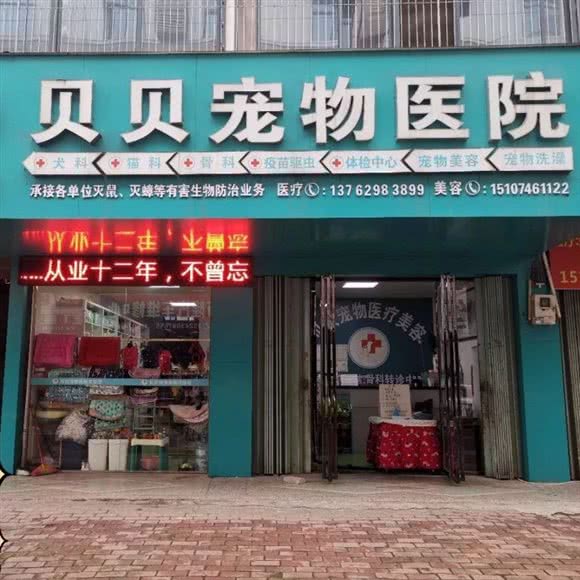 贝贝宠物医院:永州市冷水滩区滨江公园附近